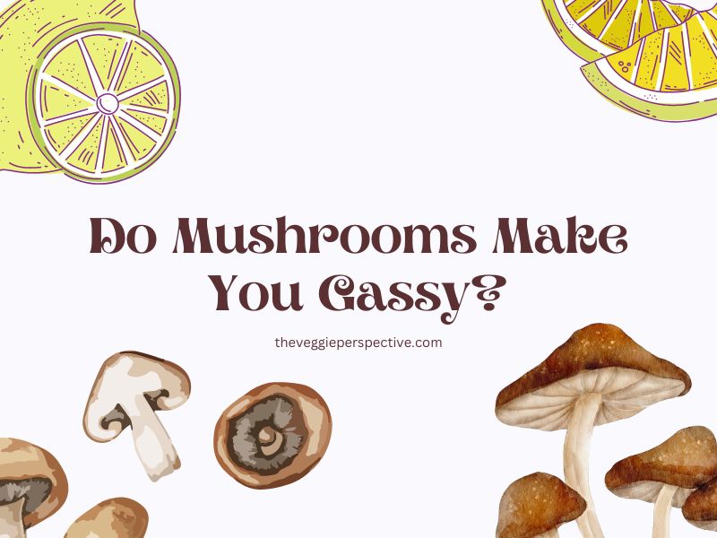 Do Mushrooms Make You Gassy?