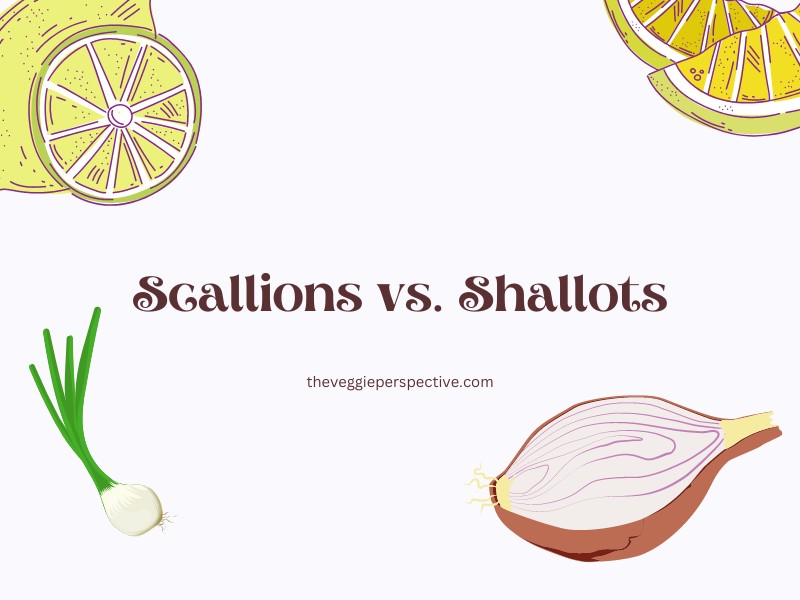 Scallions vs. Shallots: Differences, Uses, and Benefits
